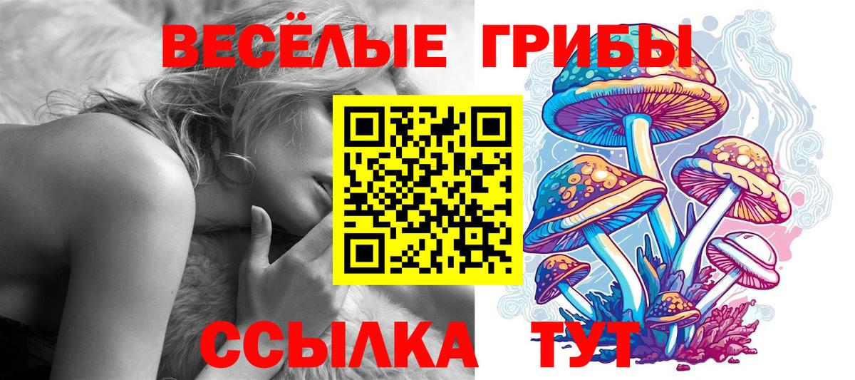 Бошки Шишки  МДМА  Мефедрон кристаллы  Cocaine  ГАШИШ  Киселёвск  Вход с VPN 