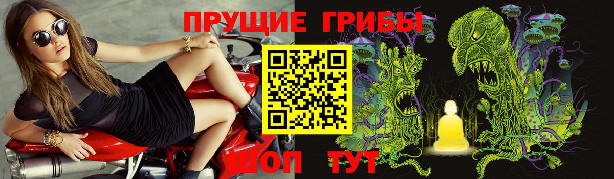 Киселёвск  Псилоцибиновые грибы прущие грибы  Вход с VPN 
